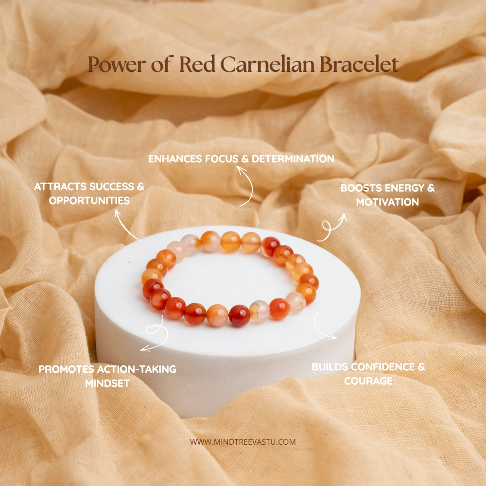 Red Carnelian Bracelet for Mangal & Sun Strength (Abhimantrit)