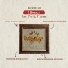 7 Horses Raw Pyrite Frame - Vastu Success & Wealth Frame